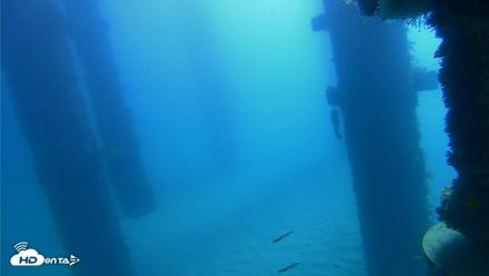 Scripps Pier Underwater Live Webcam - Oct 21, 2026, 10:39am PDT