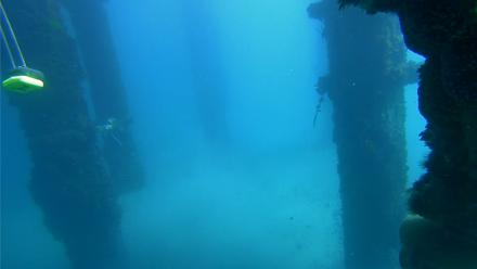 Scripps Pier Underwater Live Webcam - Feb 8, 2026, 11:53am PST