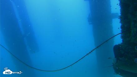 Scripps Pier Underwater Live Webcam - Aug 28, 2026, 6:51pm PDT