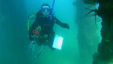 Scripps Pier Underwater Live Webcam - Sep 10, 2025, 3:32pm PDT