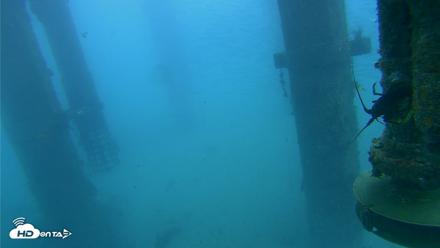 Scripps Pier Underwater Live Webcam - Jul 30, 2026, 7:02am PDT