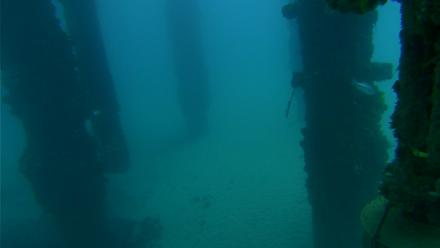 Scripps Pier Underwater Live Webcam - Sep 13, 2025, 7:03am PDT