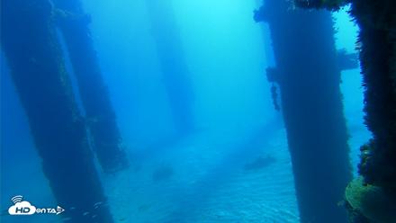 Scripps Pier Underwater Live Webcam - Oct 5, 2026, 10:23am PDT