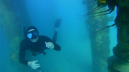 Scripps Pier Underwater Live Webcam - Mar 14, 2026, 4:43pm PDT