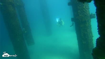 Scripps Pier Underwater Live Webcam - Sep 24, 2026, 2:39pm PDT