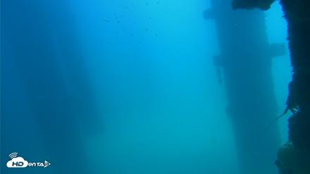 Scripps Pier Underwater Live Webcam - Sep 16, 2026, 1:19pm PDT