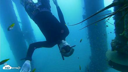 Scripps Pier Underwater Live Webcam - Aug 8, 2026, 8:38am PDT