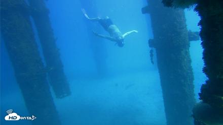 Scripps Pier Underwater Live Webcam - Oct 19, 2026, 1:45pm PDT