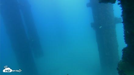 Scripps Pier Underwater Live Webcam - Sep 20, 2026, 3:41pm PDT