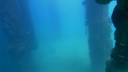 Scripps Pier Underwater Live Webcam - Sep 18, 2025, 1:41pm PDT
