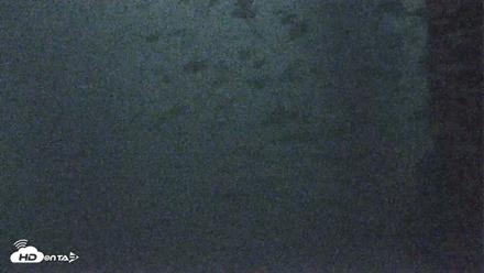 Scripps Pier Underwater Live Webcam - Aug 19, 2026, 7:56pm PDT
