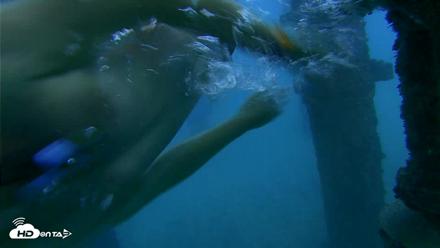 Scripps Pier Underwater Live Webcam - Oct 19, 2026, 5:59pm PDT