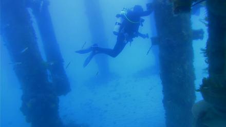 Scripps Pier Underwater Live Webcam - Mar 31, 2026, 10:05am PDT