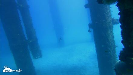 Scripps Pier Underwater Live Webcam - Oct 19, 2026, 1:29pm PDT