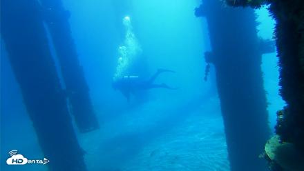 Scripps Pier Underwater Live Webcam - Oct 5, 2026, 10:48am PDT