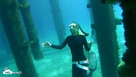 Scripps Pier Underwater Live Webcam - Oct 18, 2026, 12:20pm PDT