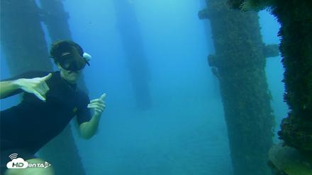 Scripps Pier Underwater Live Webcam - Oct 19, 2026, 5:46pm PDT