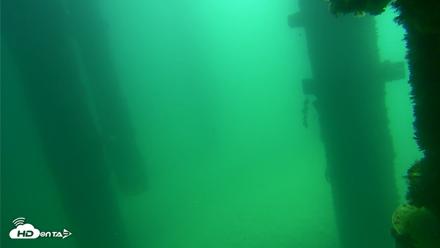 Scripps Pier Underwater Live Webcam - Sep 17, 2026, 11:46am PDT