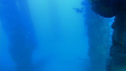 Scripps Pier Underwater Live Webcam - Nov 13, 2025, 3:19pm PST