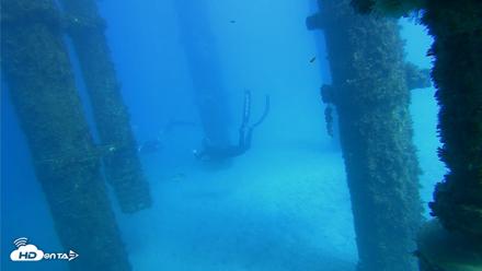 Scripps Pier Underwater Live Webcam - Oct 19, 2026, 2:55pm PDT