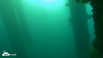 Scripps Pier Underwater Live Webcam - Oct 20, 2026, 7:55am PDT