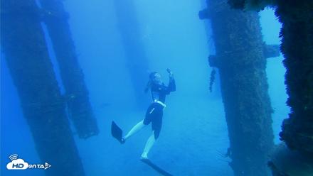 Scripps Pier Underwater Live Webcam - Oct 19, 2026, 2:47pm PDT