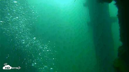 Scripps Pier Underwater Live Webcam - Sep 23, 2026, 9:22am PDT