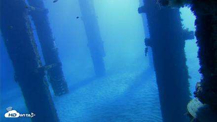 Scripps Pier Underwater Live Webcam - Oct 19, 2026, 9:45am PDT