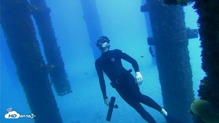 Scripps Pier Underwater Live Webcam - Oct 7, 2026, 11:55am PDT
