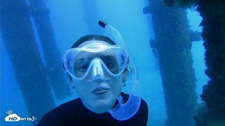 Scripps Pier Underwater Live Webcam - Oct 19, 2026, 2:53pm PDT