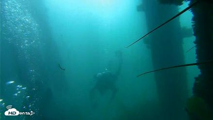 Scripps Pier Underwater Live Webcam - Oct 2, 2026, 9:06am PDT