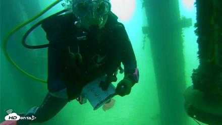 Scripps Pier Underwater Live Webcam - Aug 7, 2026, 10:58am PDT