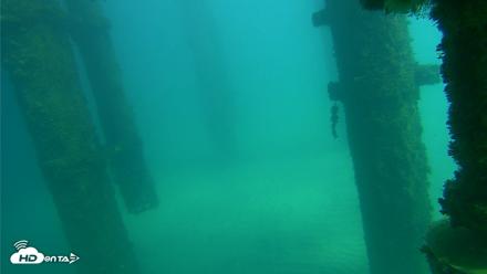 Scripps Pier Underwater Live Webcam - Oct 16, 2026, 1:50pm PDT