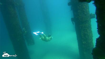 Scripps Pier Underwater Live Webcam - Sep 24, 2026, 2:49pm PDT