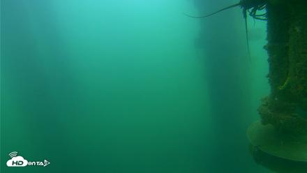 Scripps Pier Underwater Live Webcam - Jul 16, 2026, 7:39am PDT