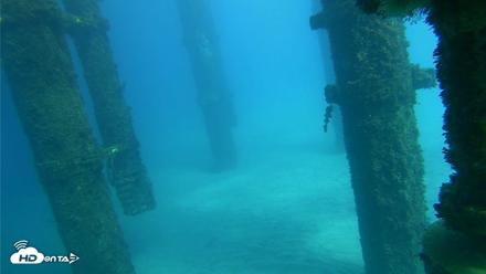 Scripps Pier Underwater Live Webcam - Oct 17, 2026, 2:39pm PDT