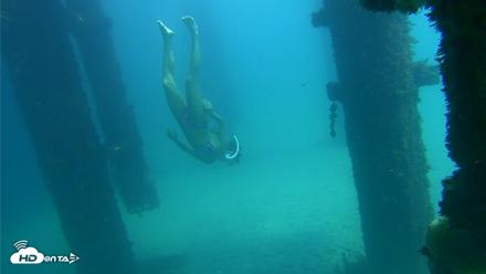 Scripps Pier Underwater Live Webcam - Oct 6, 2026, 1:24pm PDT
