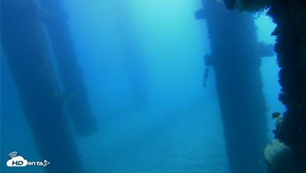 Scripps Pier Underwater Live Webcam - Oct 21, 2026, 10:44am PDT