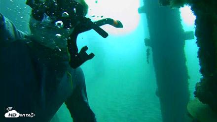 Scripps Pier Underwater Live Webcam - Oct 20, 2026, 8:54am PDT