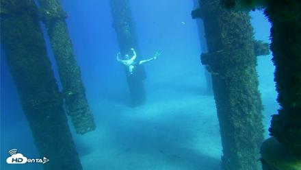 Scripps Pier Underwater Live Webcam - Oct 18, 2026, 3:39pm PDT
