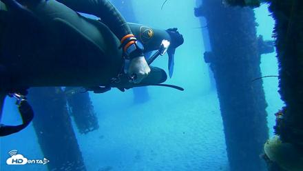 Scripps Pier Underwater Live Webcam - Oct 7, 2026, 11:53am PDT