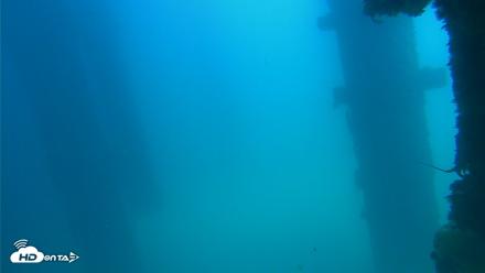 Scripps Pier Underwater Live Webcam - Sep 16, 2026, 1:19pm PDT