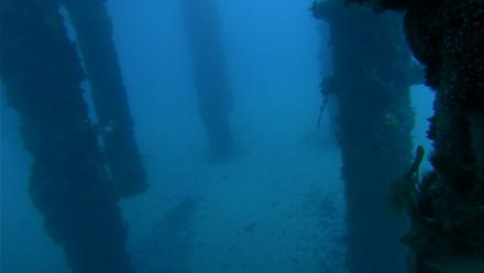 Scripps Pier Underwater Live Webcam - Feb 5, 2026, 6:42am PST