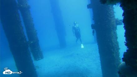 Scripps Pier Underwater Live Webcam - Oct 19, 2026, 1:03pm PDT