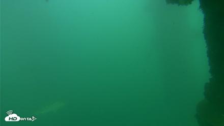 Scripps Pier Underwater Live Webcam - Oct 12, 2026, 4:47pm PDT