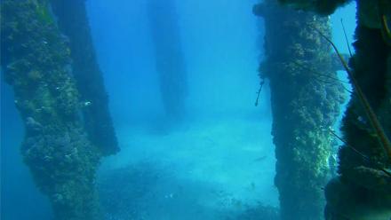 Scripps Pier Underwater Live Webcam - Dec 10, 2025, 1:56pm PST