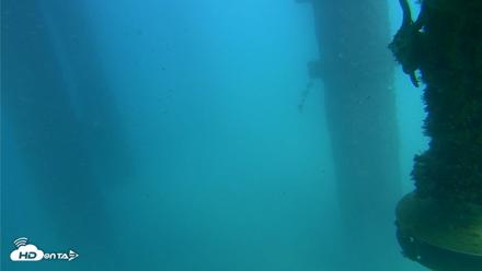 Scripps Pier Underwater Live Webcam - Aug 27, 2026, 3:21pm PDT
