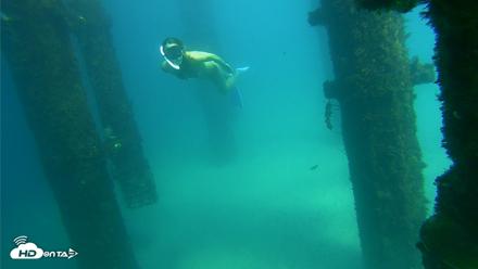 Scripps Pier Underwater Live Webcam - Sep 24, 2026, 2:37pm PDT