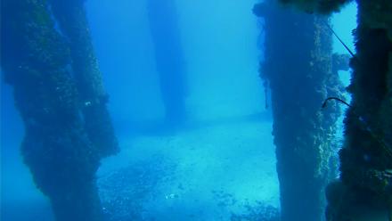 Scripps Pier Underwater Live Webcam - Dec 10, 2025, 12:19pm PST