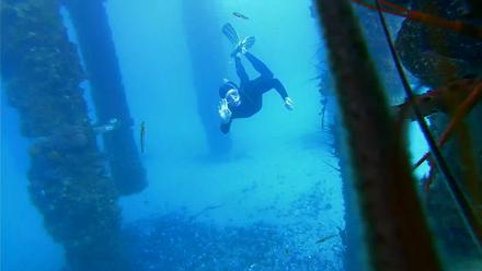 Scripps Pier Underwater Live Webcam - Jan 28, 2026, 2:09pm PST